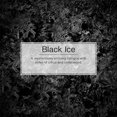 Car Air Freshener | Hanging Tree Provides Long Lasting Scent for Auto and Home | Black Ice, 24 Air Fresheners